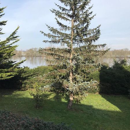 Une Nuit Sur Loire Treves-Cunault Eksteriør billede