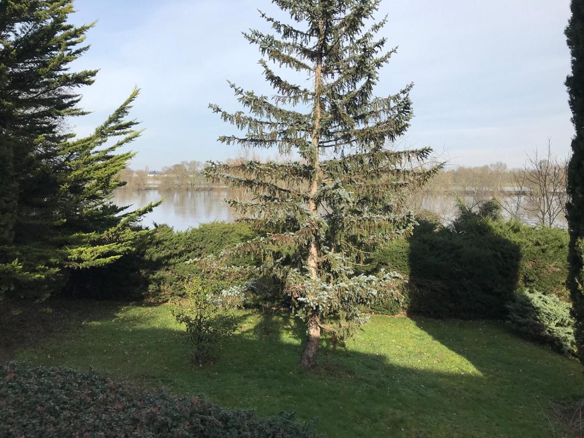 Une Nuit Sur Loire Treves-Cunault Eksteriør billede