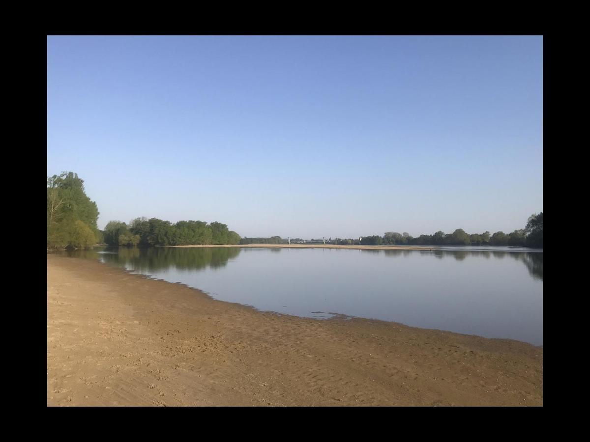 Une Nuit Sur Loire Treves-Cunault Eksteriør billede
